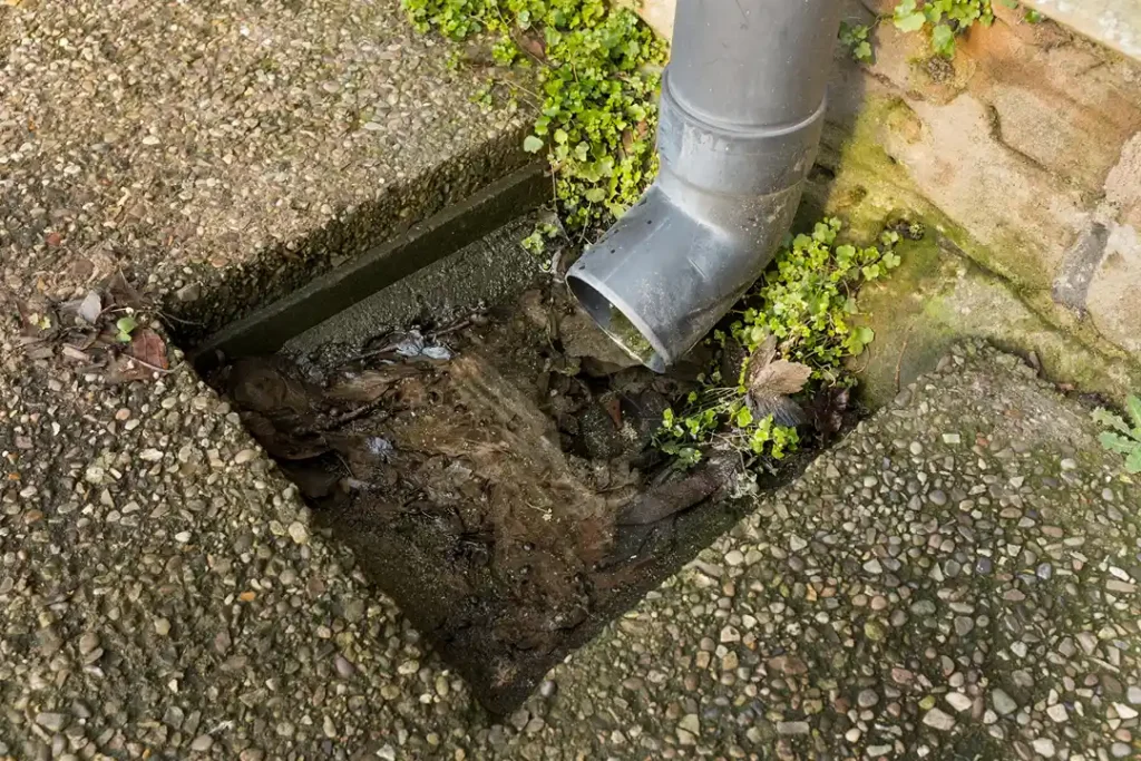 Blocked Outside Drain