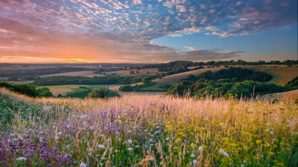 Hampshire