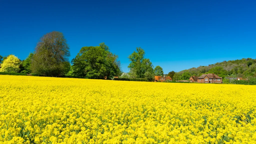 Hertfordshire