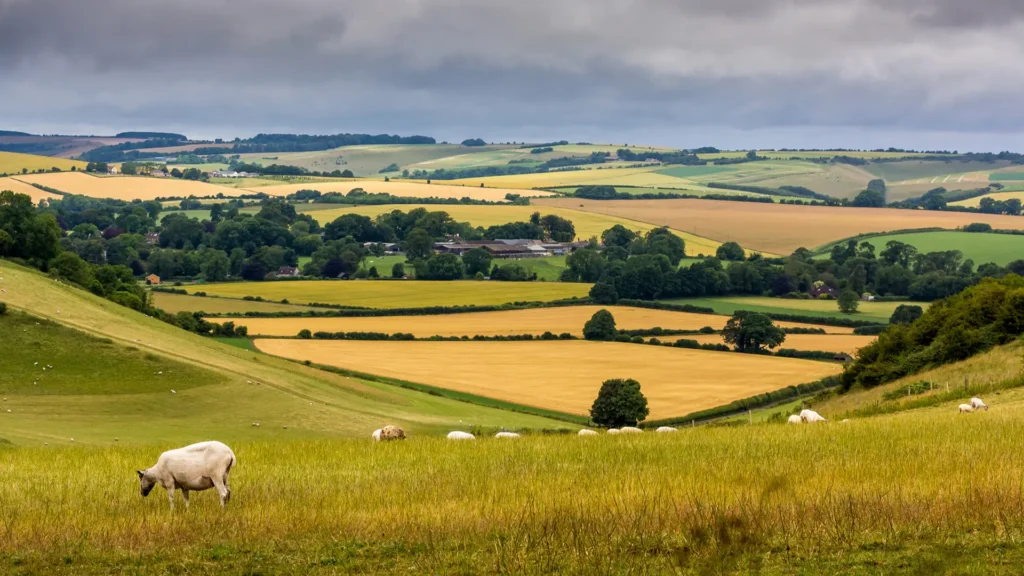 Wiltshire